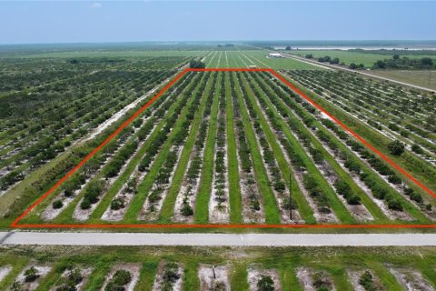 Land in Punta Gorda, Florida № 1900494 - photo 2