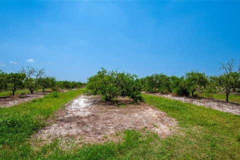 Land in Punta Gorda, Florida № 1900494 - photo 4