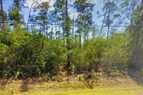 Land in Port Charlotte, Florida № 2161070