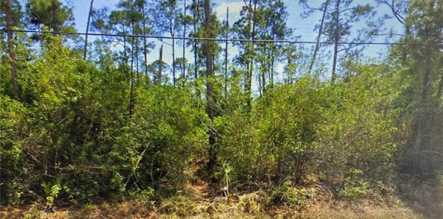 Land in Port Charlotte, Florida № 2161070