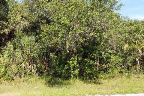 Land in Port Charlotte, Florida № 2161070 - photo 4