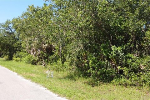 Land in Port Charlotte, Florida № 2161070 - photo 2