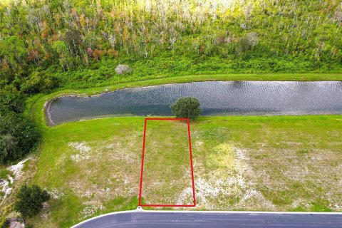 Land in Auburndale, Florida № 1916921 - photo 5