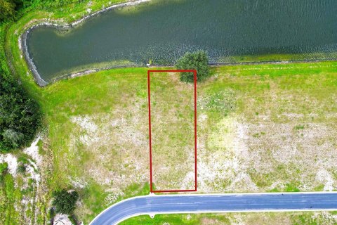 Land in Auburndale, Florida № 1916921 - photo 6
