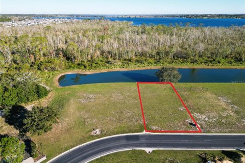 Land in Auburndale, Florida № 1916921 - photo 3
