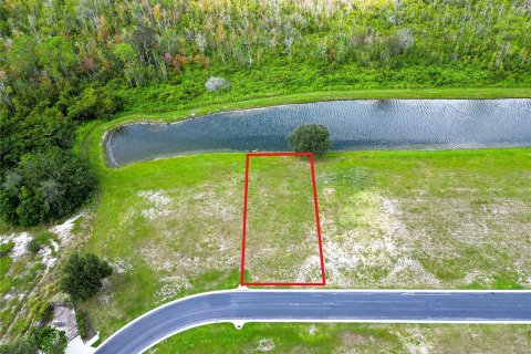 Land in Auburndale, Florida № 1916921 - photo 10
