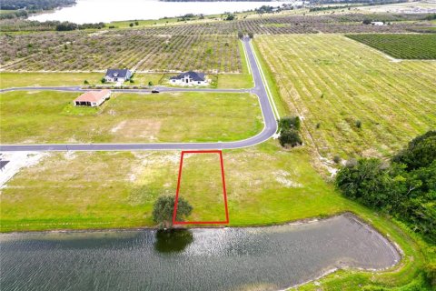 Land in Auburndale, Florida № 1916921 - photo 11