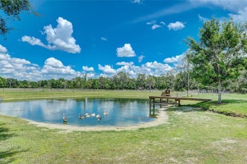 Casa en venta en Sarasota, Florida, 3 dormitorios, 279.54 m2 № 2206071 - foto 4