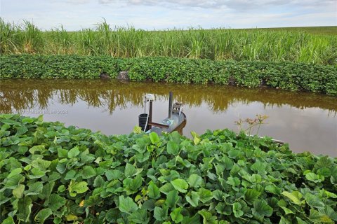 Купить коммерческую недвижимость в Палм-Бич, Флорида № 2061260 - фото 6