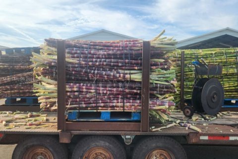 Купить коммерческую недвижимость в Палм-Бич, Флорида № 2061260 - фото 8