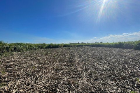 Купить коммерческую недвижимость в Палм-Бич, Флорида № 2061260 - фото 2