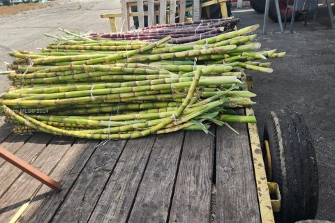 Купить коммерческую недвижимость в Палм-Бич, Флорида № 2061260 - фото 4