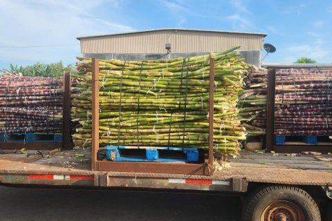 Купить коммерческую недвижимость в Палм-Бич, Флорида № 2061260 - фото 3