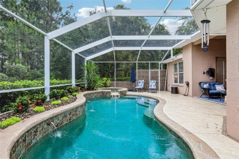 Villa ou maison à vendre à Wesley Chapel, Floride: 3 chambres, 182.74 m2 № 2411548 - photo 30