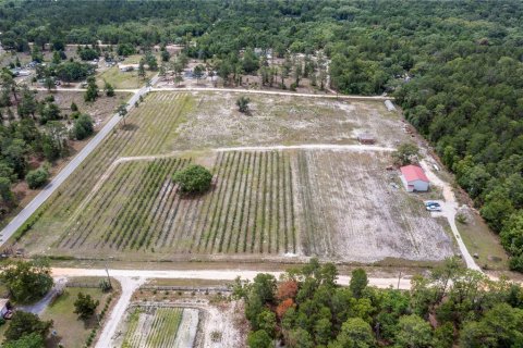 Propiedad comercial en venta en Pomona Park, Florida № 673348 - foto 3