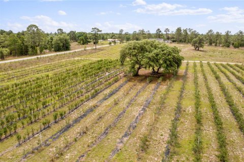 Propiedad comercial en venta en Pomona Park, Florida № 673348 - foto 5