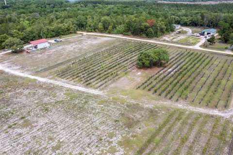 Propiedad comercial en venta en Pomona Park, Florida № 673348 - foto 27
