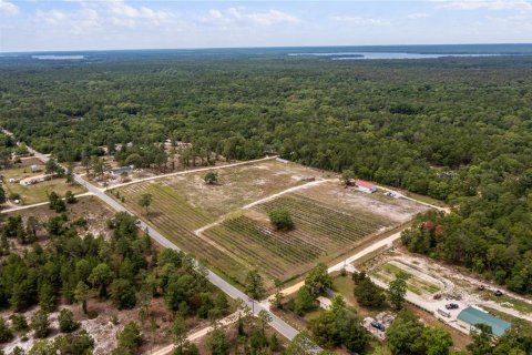 Propiedad comercial en venta en Pomona Park, Florida № 673348 - foto 28