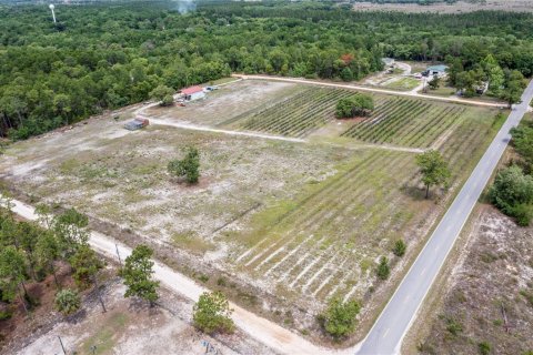Propiedad comercial en venta en Pomona Park, Florida № 673348 - foto 8