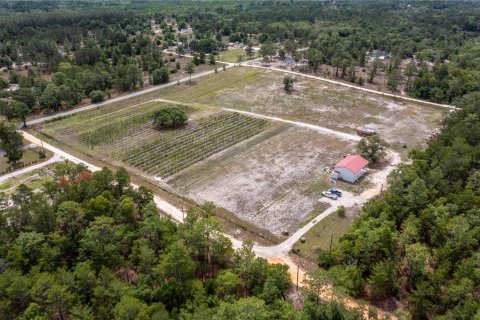 Propiedad comercial en venta en Pomona Park, Florida № 673348 - foto 25