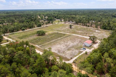 Propiedad comercial en venta en Pomona Park, Florida № 673348 - foto 7