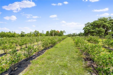 Propiedad comercial en venta en Pomona Park, Florida № 673348 - foto 4