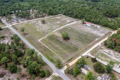 Propiedad comercial en venta en Pomona Park, Florida № 673348 - foto 26