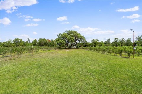 Propiedad comercial en venta en Pomona Park, Florida № 673348 - foto 24
