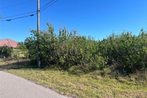 Land in Port Charlotte, Florida № 2161850 - photo 2