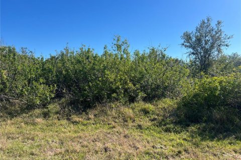 Land in Port Charlotte, Florida № 2161850 - photo 3