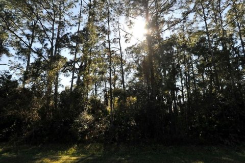 Land in North Port, Florida № 2161508 - photo 3