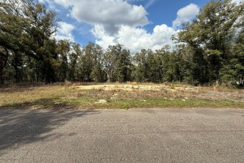 Terrain à Ocklawaha, Floride № 2236613
