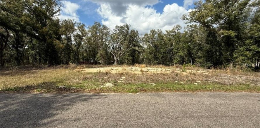 Terrain à Ocklawaha, Floride № 2236613