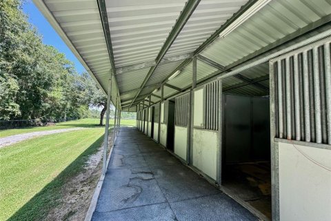 Casa en alquiler en Reddick, Florida, 3 dormitorios, 193.98 m2 № 1915480 - foto 19
