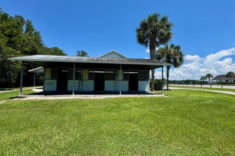 Casa en alquiler en Reddick, Florida, 3 dormitorios, 193.98 m2 № 1915480 - foto 20