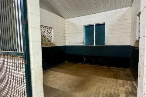 Casa en alquiler en Reddick, Florida, 3 dormitorios, 193.98 m2 № 1915480 - foto 10