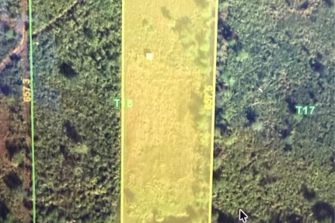Terrain à Punta Gorda, Floride № 2233304