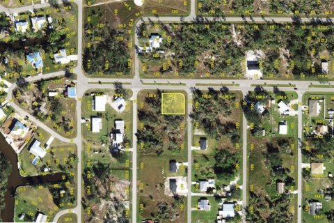 Land in Punta Gorda, Florida № 2159150 - photo 2