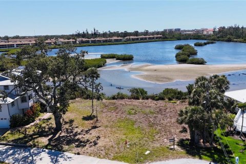 Land in Nokomis, Florida № 2143045 - photo 6
