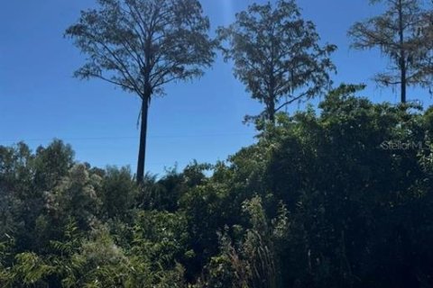 Land in Palm Bay, Florida № 2161302 - photo 2