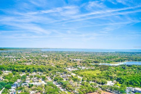 Condo in Clearwater, Florida, 2 bedrooms № 2212794 - photo 25