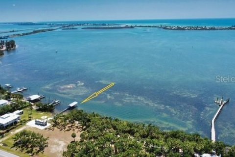 Купить земельный участок в Пласида, Флорида № 1569918 - фото 4