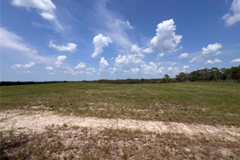 Terrain à vendre à Dunnellon, Floride № 2205223 - photo 4