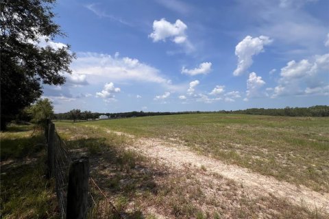 Terrain à vendre à Dunnellon, Floride № 2205223 - photo 3