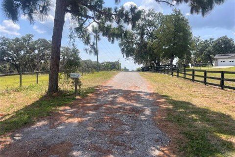 Terrain à vendre à Dunnellon, Floride № 2205223 - photo 6