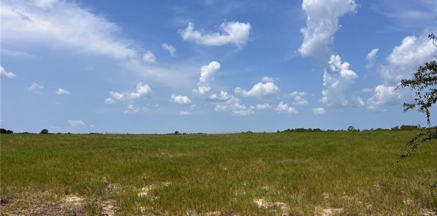 Terrain à Dunnellon, Floride № 2205223