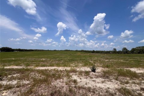 Terrain à vendre à Dunnellon, Floride № 2205223 - photo 5
