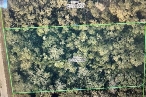 Land in Webster, Florida № 2159267 - photo 2