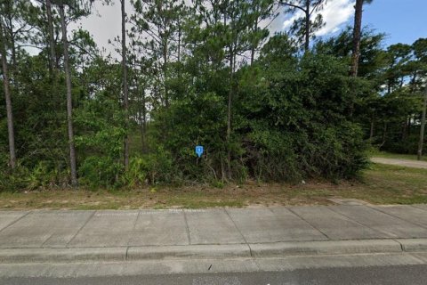 Land in Milton, Florida № 1883369 - photo 2