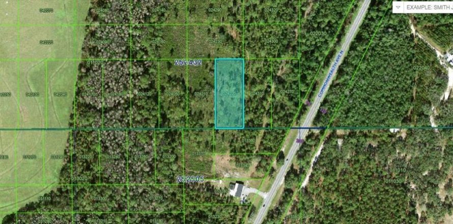 Terrain à Polk City, Floride № 2234907
